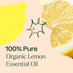 Plant Therapy Organic Lemon Essential Oil 100% Pure, USDA Certified Organic - Image 5