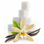 Vanilla Body Oil | Daily Skin Moisturizer - Image 8