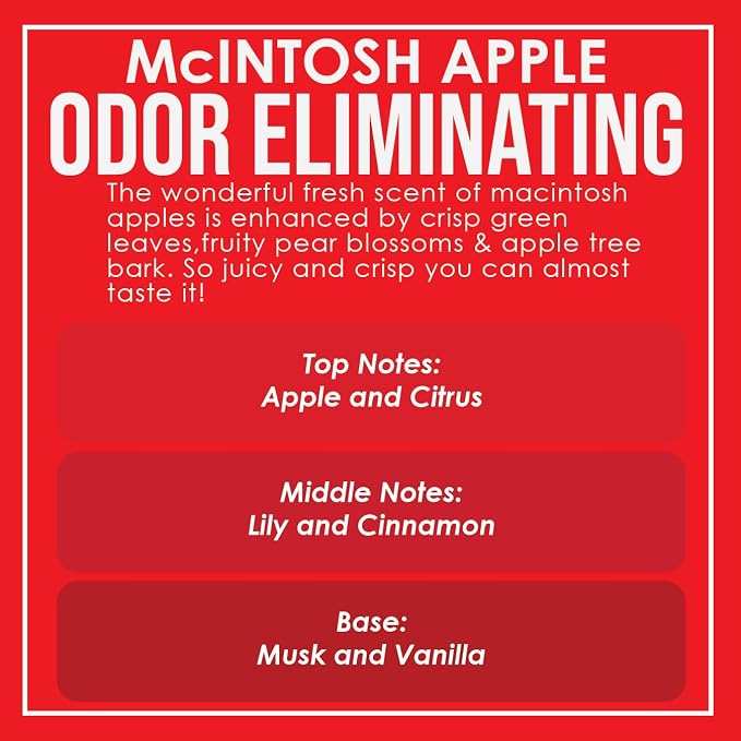 McIntosh Apple 2 Pack Odor Eliminating Highly Fragranced Candle - Image 3