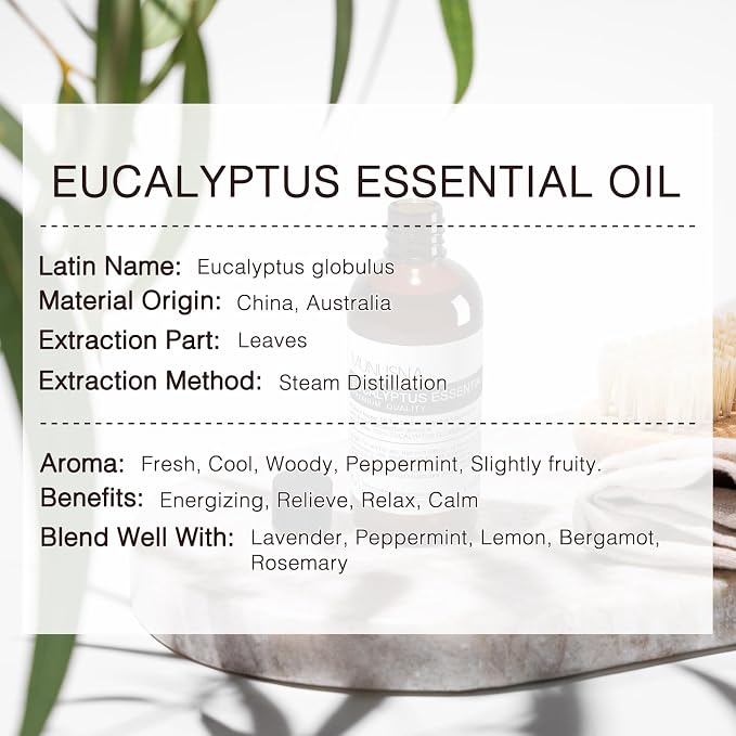 Eucalyptus Essential Oil, Premium Grade Pure Eucalyptus Oils 100ML, 100% - Image 7