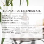 Eucalyptus Essential Oil, Premium Grade Pure Eucalyptus Oils 100ML, 100% - Image 7