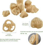 Natural Loofah Sponge for Soap Making, 20 Pack Organic Loofahs Slices Cuts Set - Image 7