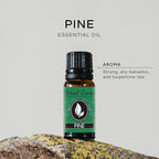Pine Needle Premium Grade Fragrance Oil - 10ml - Scented Oil - Image 2