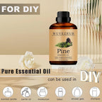Pine Essential Oils, 240ML Pure and Natural Essential Oil - Image 5