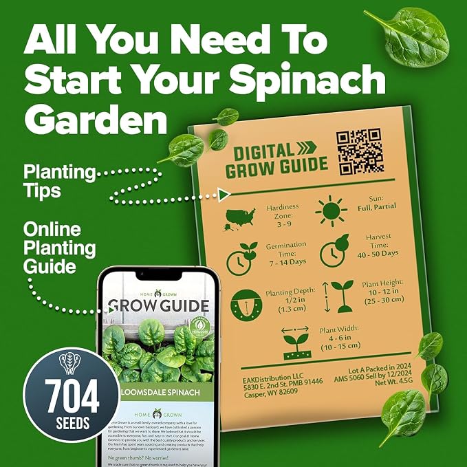 HOME GROWN Bloomsdale Spinach Seeds 704+ Heirloom Non-GMO Seeds - Image 7