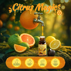 Salubrito Citrus Essential Oils Set - Image 2