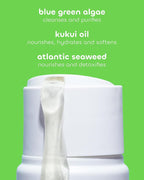 Seaweed Bath Co. Hydrate Body Wash - Image 4