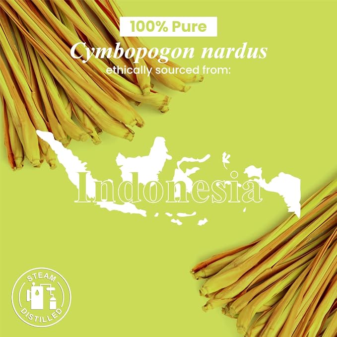 Handcraft Blends Citronella Essential Oil – Huge 4 Fl Oz – 100% Pure and - Image 8