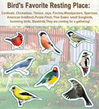 Garbuildman Upgraded 5-Prong Base Bird Bath - Image 7