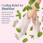 SpaLife Moisturizing Hand Gloves & Foot Mask Socks | Korean Skincare Set - Image 5