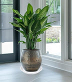 2 Pack of 16 inch Plant Saucer, Large Plant Tray, Heavy Sturdy Plant Drainage - Image 3