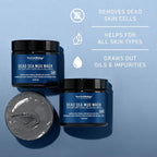 New York Biology Dead Sea Mud Mask - Image 4