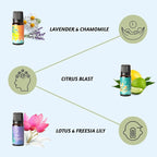 Folkulture Essential Oils Set for Diffuser | Set of 6 Everyday Aromatherapy - Image 3