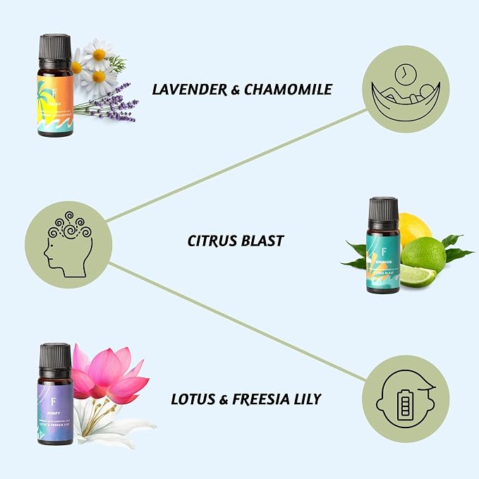 Folkulture Essential Oils Set for Diffuser | Set of 6 Everyday Aromatherapy - Image 3