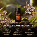 100% Pure Lemon Verbena Essential Oil - Image 5