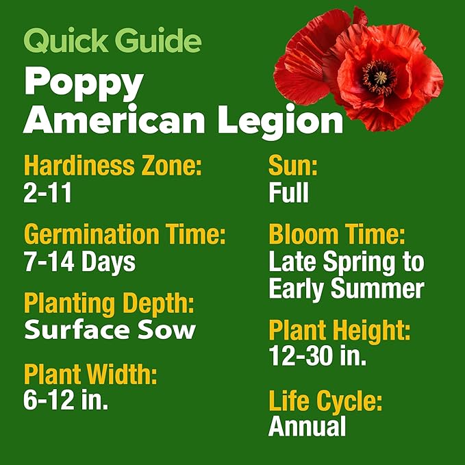 HOME GROWN American Legion Red Poppy Seeds - Image 5