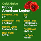 HOME GROWN American Legion Red Poppy Seeds - Image 5