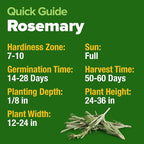 HOME GROWN Rosemary Seeds Pack - Image 4
