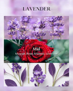 M&SENSE Vegan Soy Lavender Scented Candle, 8.1oz 42H Non-Toxic Long Burning - Image 3