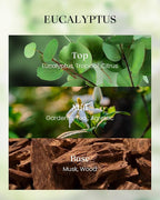 M&SENSE Eucalyptus Scented Vegan Soy Candles, No Toxin Calming Aromatherapy - Image 2