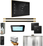 Mr Steam XDream Max Steam Shower Pkg w/iSteamX Control and Linear Steamhead in by MrSteam