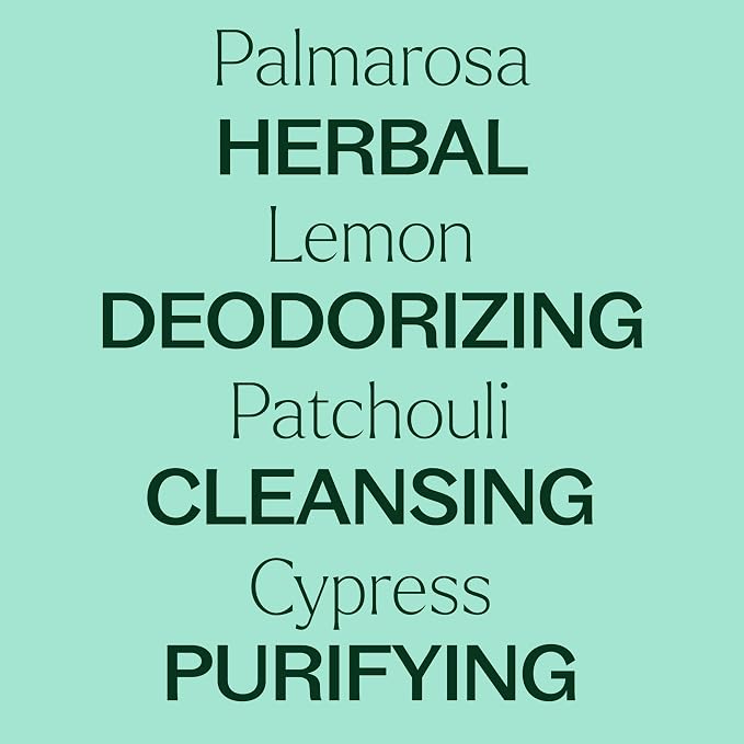 Plant Therapy Deodorizing Essential Oil Blend 30 mL 100% Pure, Therapeutic Grade - Image 4