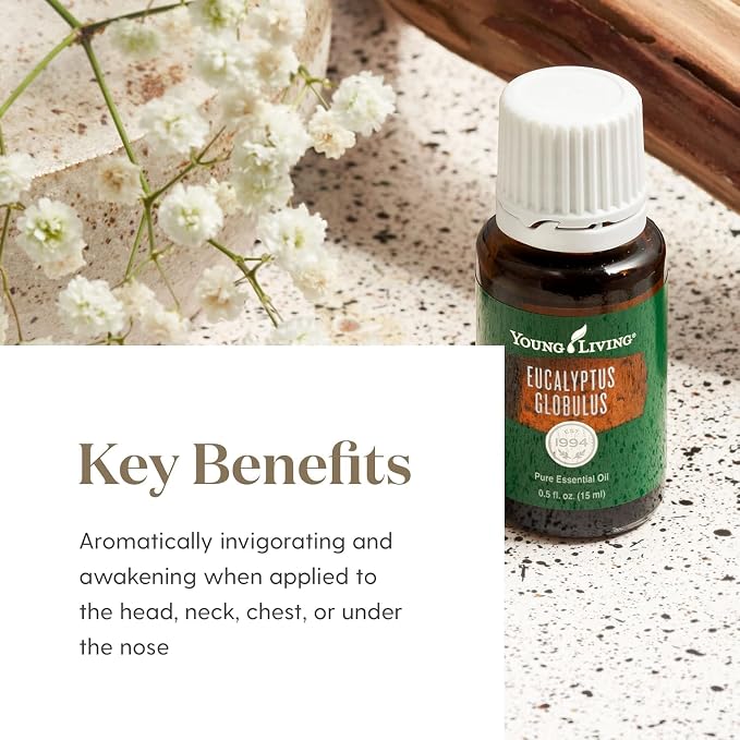 Young Living Eucalyptus Globulus Essential Oil | Cooling, Refreshing Aroma - Image 4