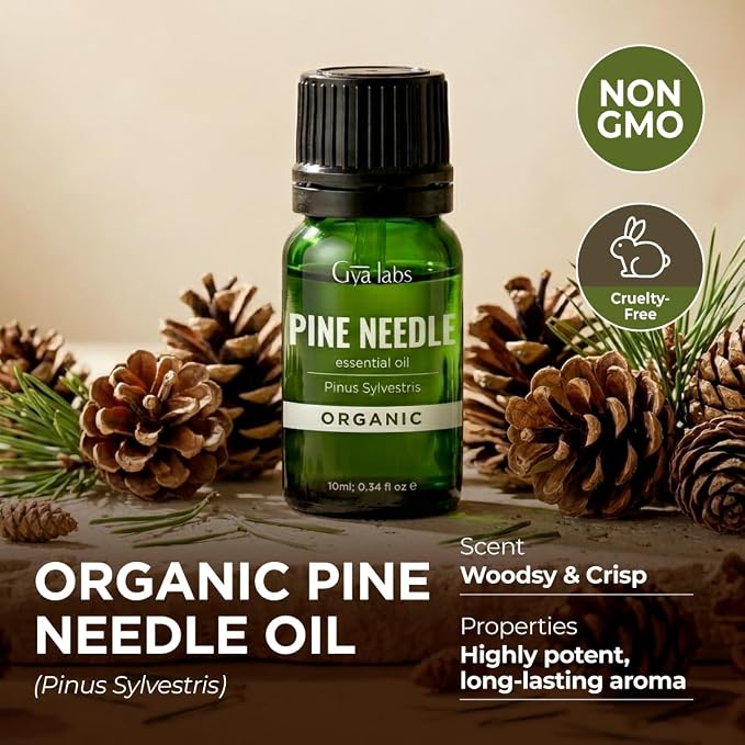 Gya Labs Organic Pine Needle Essential Oil - Image 4