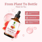 SVA Grapefruit Essential Oil Pink – 4 Fl Oz – 100% Natural Grapefruit Oil - Image 4