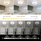 LED Ceiling Light Fixture, - Image 4