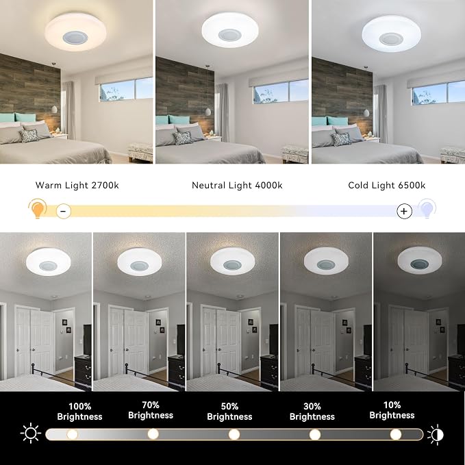 LED Ceiling Light Fixture, - Image 4