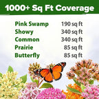 HOME GROWN Milkweed Flower Seeds - Image 4