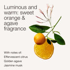 Bath & Body Works Single Wick Candle, Sweet Orange & Agave Candle, Long-Lasting - Image 3