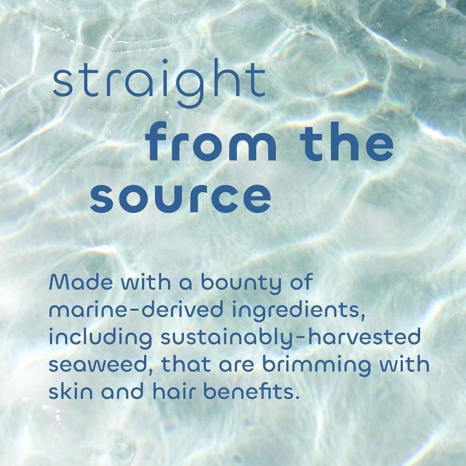 Seaweed Bath Co. Calm Body Scrub, Vetiver Geranium Scent, 6 Ounce, Sustainably - Image 4