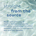 Seaweed Bath Co. Bubbling Muscle Soak, Tea Tree Lavender Scent, 12 Ounce - Image 4