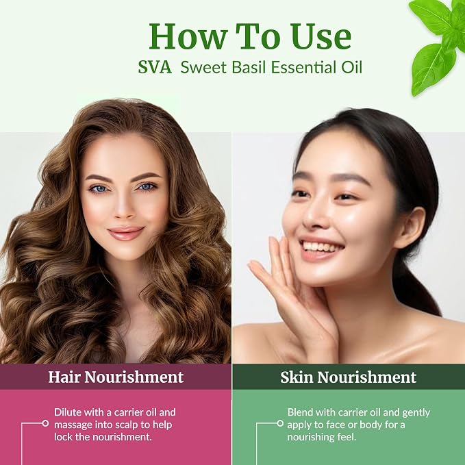 SVA Sweet Basil Essential Oil – 4 Fl Oz – 100% Natural Basil Oil - Image 5