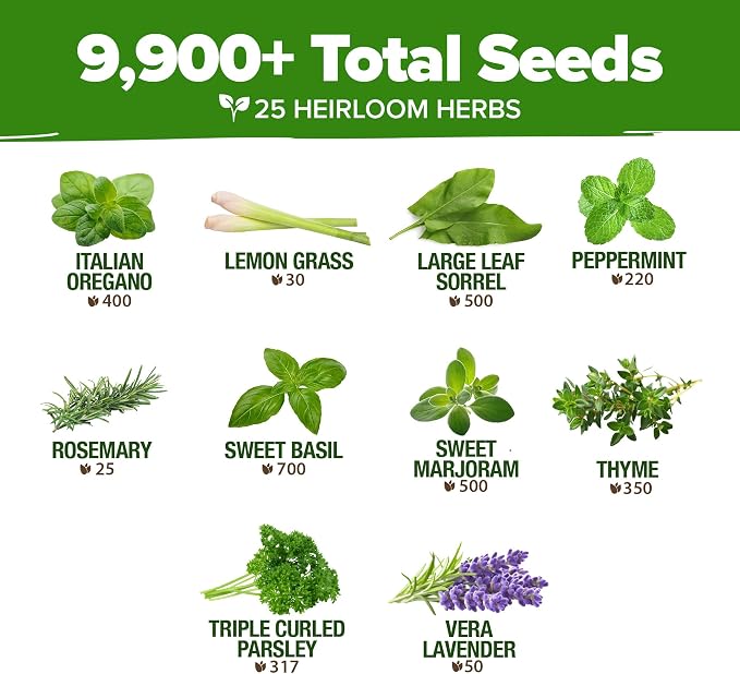 HOME GROWN 25 Herb Seeds for Planting 8, 700+ Non-GMO Heirloom Seeds | Extra - Image 4
