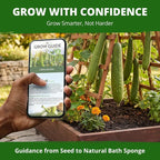 HOME GROWN Luffa Seeds 40 Heirloom Non-GMO Loofah Gourd Seeds - Image 8