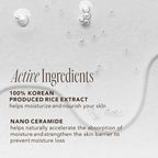 THE FACE SHOP Rice Ceramide Moisturizing Toner, Hydrating - Image 3