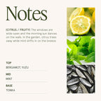 LA JOLIE MUSE Citrus Mint Candle, Candles - Image 4