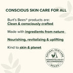 Burt's Bees Shea and Aloe Moisturizing Lip Balm, Lip Moisturizer - Image 8