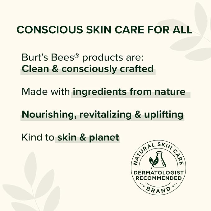 Burt's Bees Shea and Aloe Moisturizing Lip Balm, Lip Moisturizer - Image 8