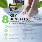 DAILY REMEDY 4-Pack - Image 4