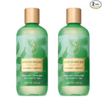 Bath & Body Works Eucalyptus Spearmint Body Wash & Foam Bath, Aromatherapy by BathBodyWorks