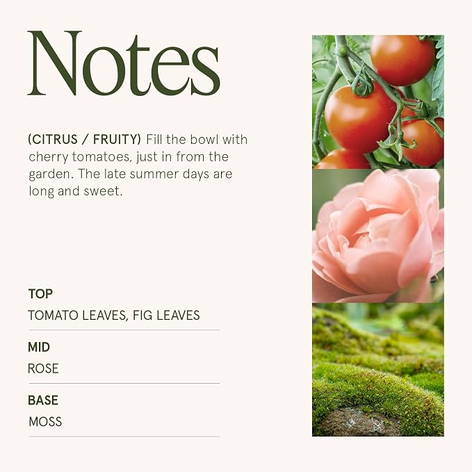 LA JOLIE MUSE Tomato & Vine Candle - Image 4