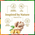 SVA Ginger Essential Oil – 4 Fl Oz – 100% Natural Ginger Oil - Image 3