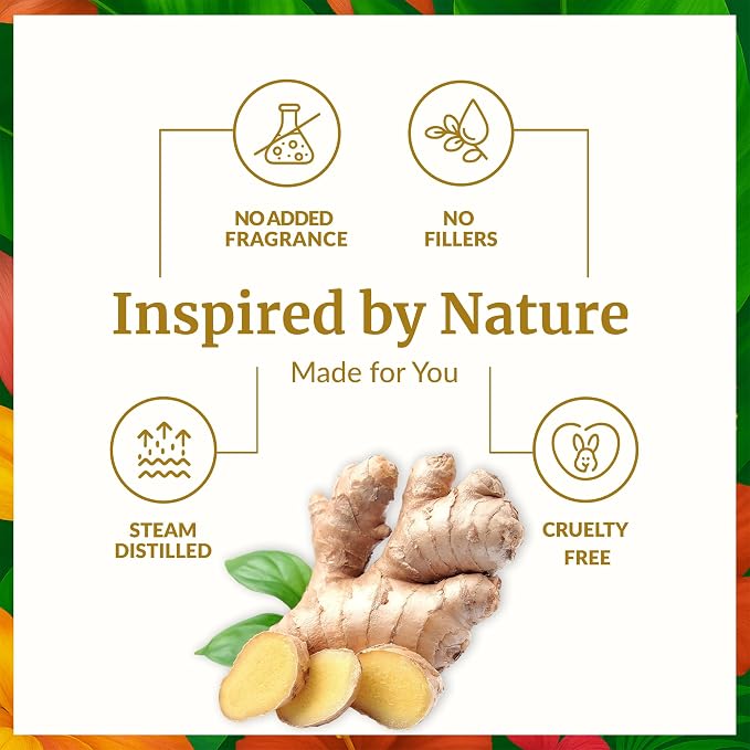 SVA Ginger Essential Oil – 4 Fl Oz – 100% Natural Ginger Oil - Image 3