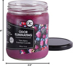 Very Berry Odor Eliminating Highly Fragranced Candle - Image 8