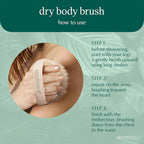 EcoTools Dry Body Brush for Circulation, Dead Skin Removal + Blue Delicate - Image 4