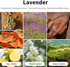 Lavender Scented Candles, 7oz Soy Wax Candle, Long Lasting Aromatherapy Jar - Image 3